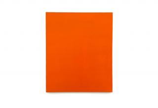 Orange Monochrome